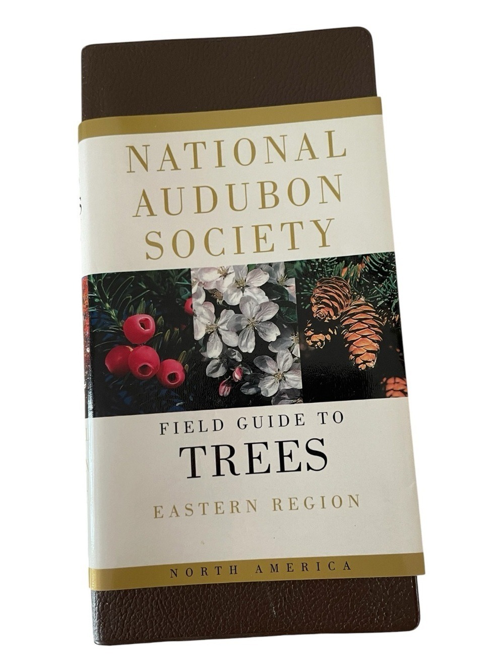 National Audubon Society Field Guide Trees Eastern Region Knoph 2008